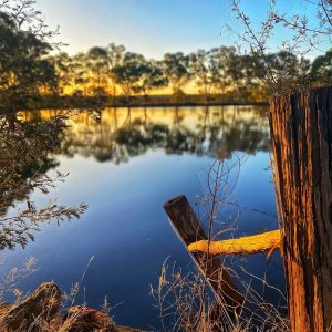 Fish Farm Cafe - Book me a Table