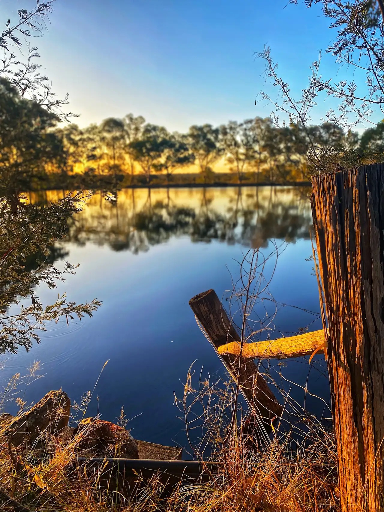 Fish Farm Cafe - Book me a Table